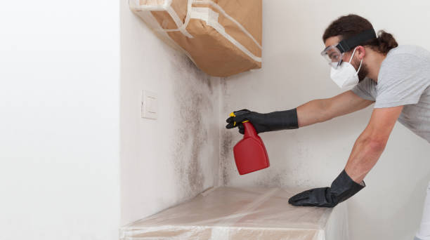 Professional Hvac And Air Duct Mold Remediation technician working in West Sayville, NY